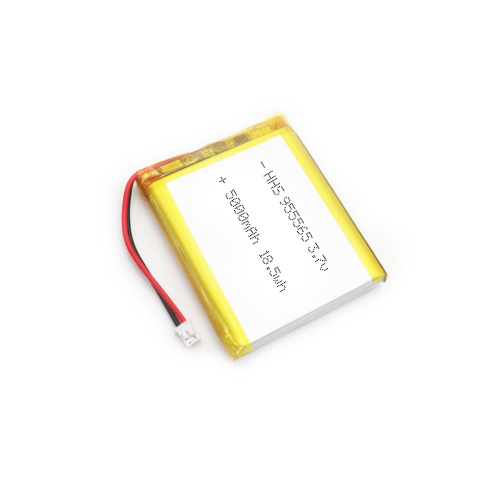 Polymer lithium battery 2